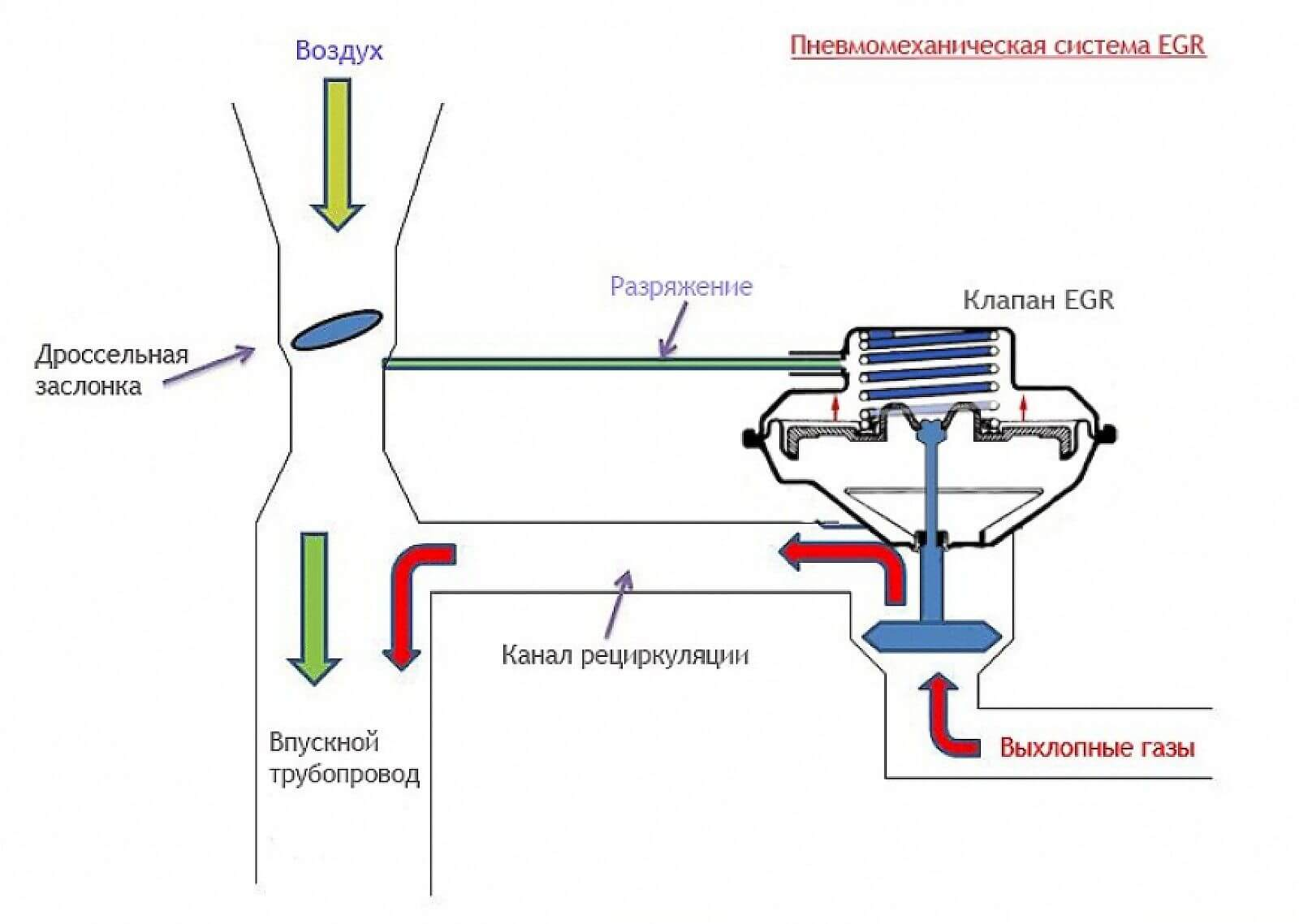 Как проверить клапан ЕГР? - Автопортал 100.ks.ua