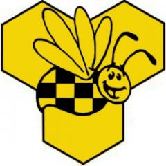 Такси Пчелка